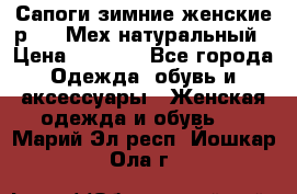 Сапоги зимние женские р.37. Мех натуральный › Цена ­ 7 000 - Все города Одежда, обувь и аксессуары » Женская одежда и обувь   . Марий Эл респ.,Йошкар-Ола г.